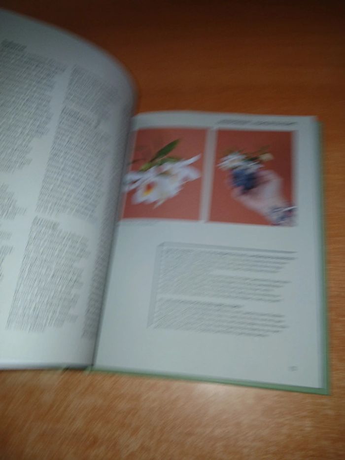 Orchidée guide de culture décomplexé - photo numéro 7
