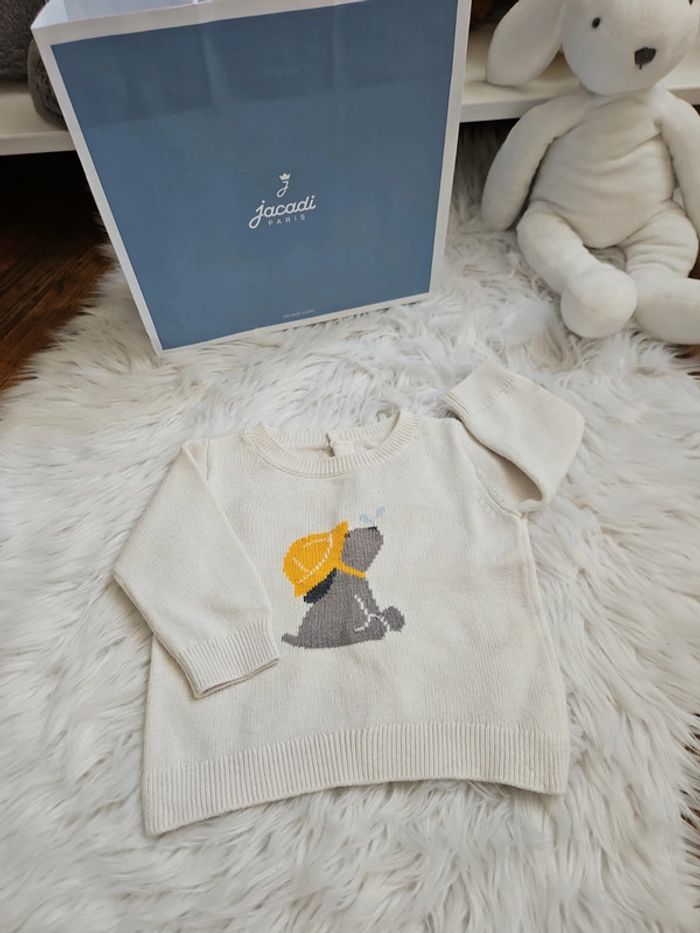 Pull chien