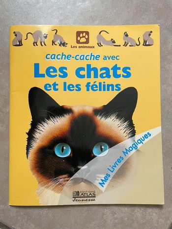 Livre cache cache avec le s gars et les félins