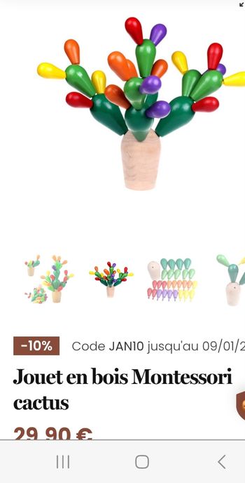 Jouet montessori en bois cactus