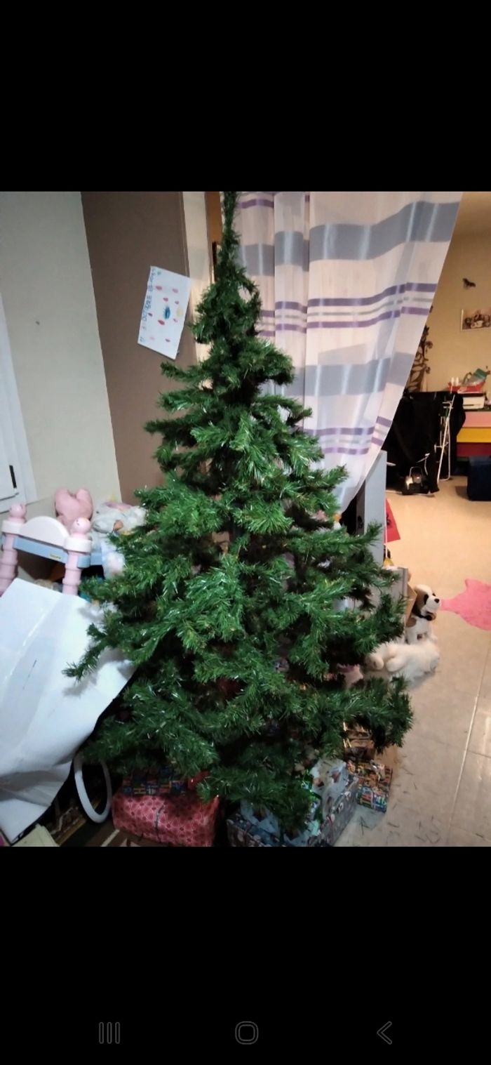 Sapin de Noël - photo numéro 4