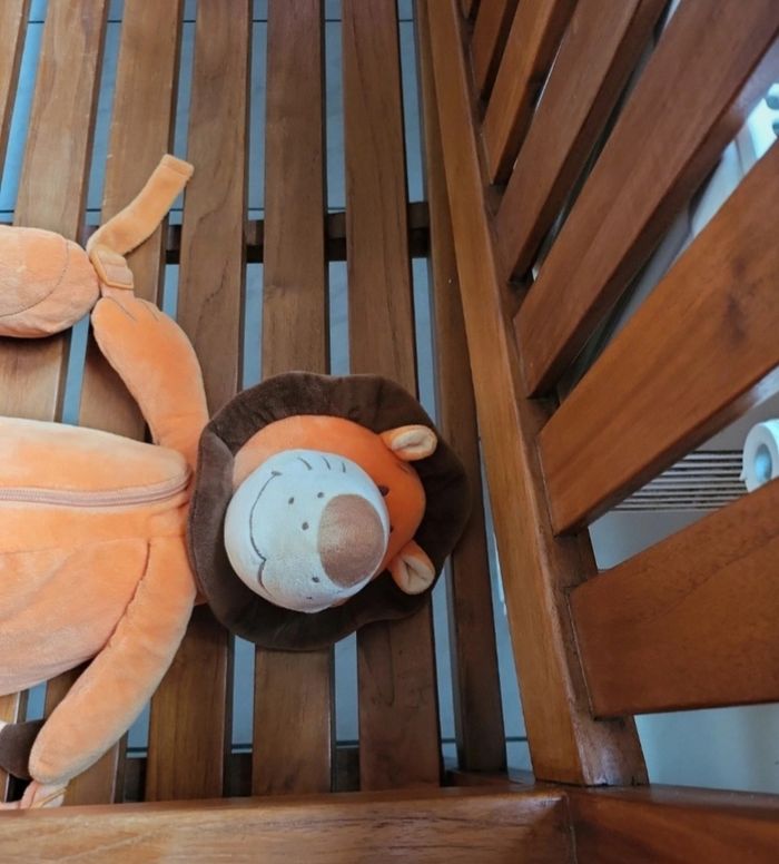 Sac à dos lion 🦁 - photo numéro 5