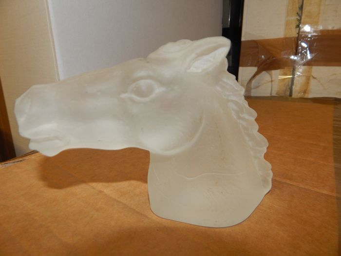 tête de cheval - photo numéro 1