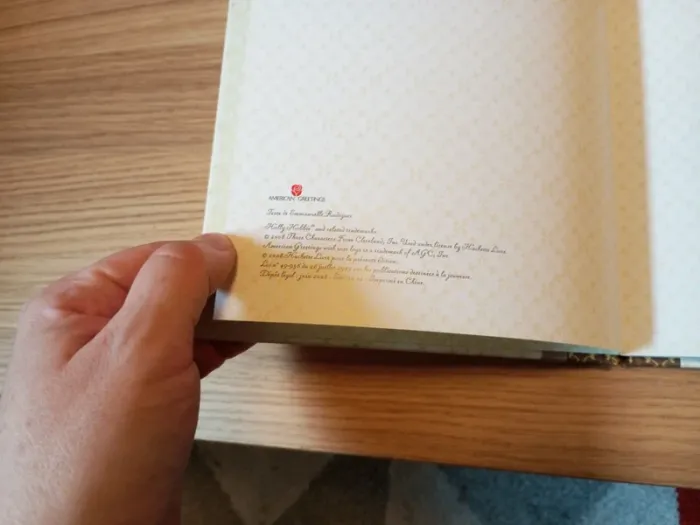 Livre belles amitiés d'Holly Hobbie - photo numéro 4