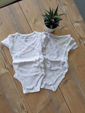 Lot de 2 bodys fille 3 mois