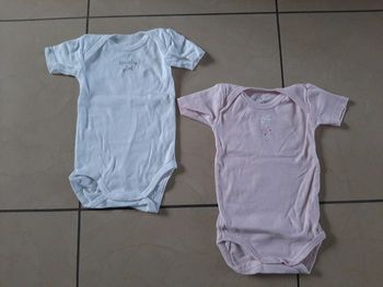 Lot de 2 bodys manches courtes fille 12 mois