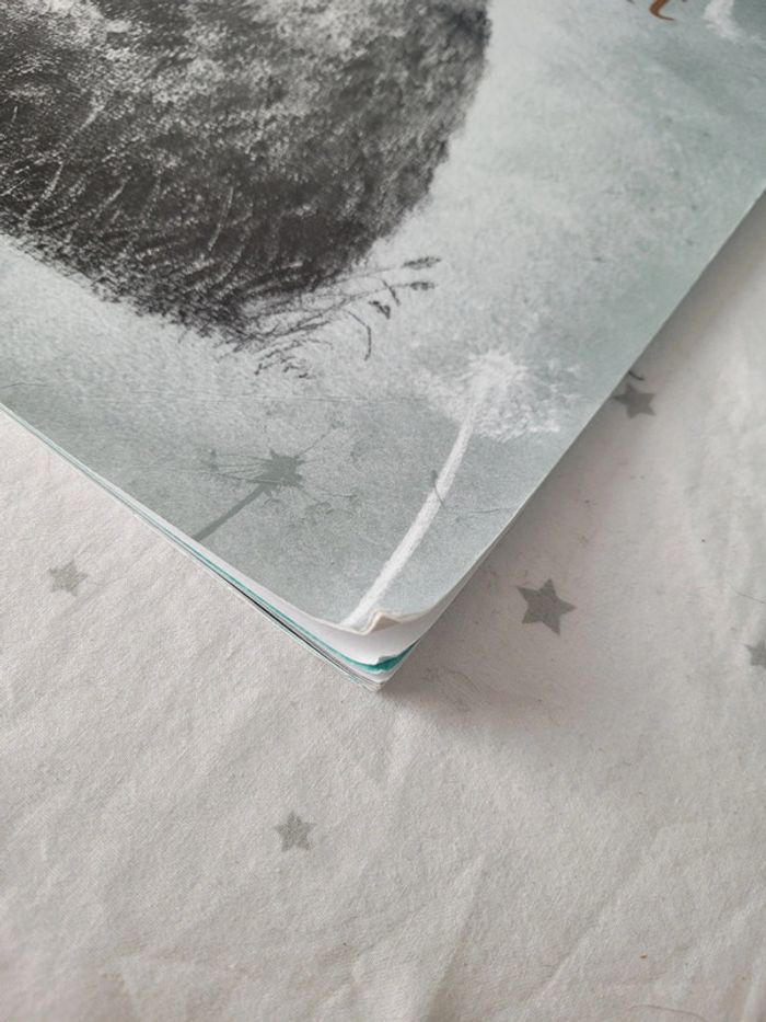 Livre mon tout petit école des max - photo numéro 2