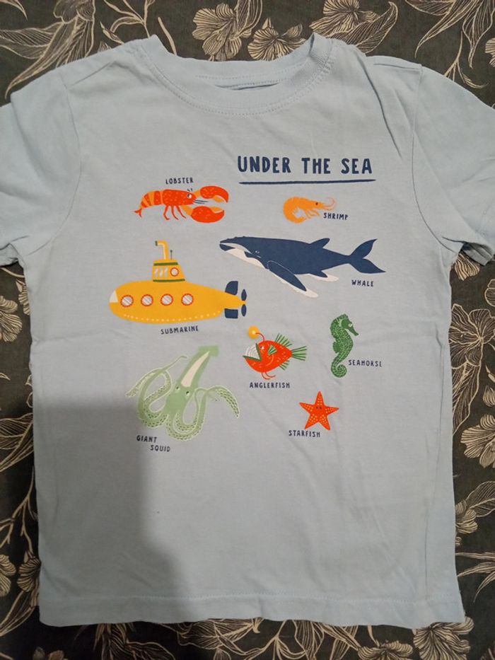 Tee-shirt 5 ans zeeman