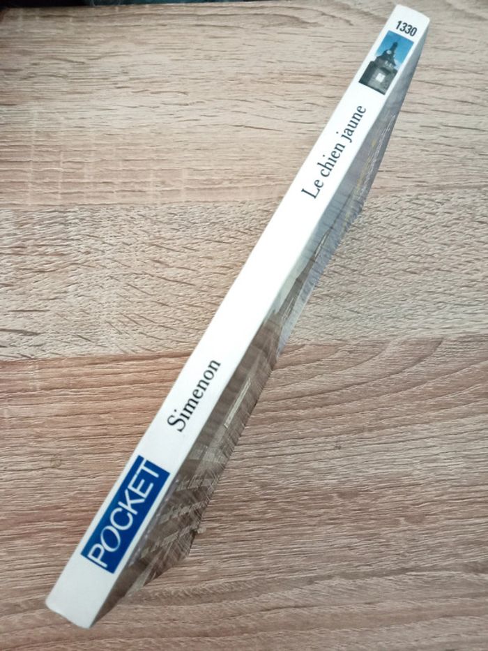 Simenon 🪅 Le chien jaune - photo numéro 3