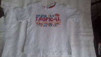 1 tee-shirt manche courte garçon 3 ans 