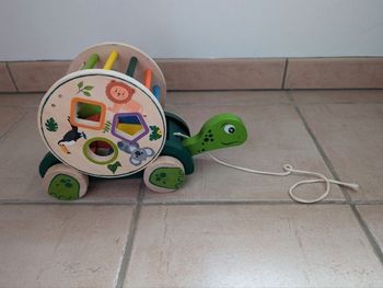 Tortue de motricité