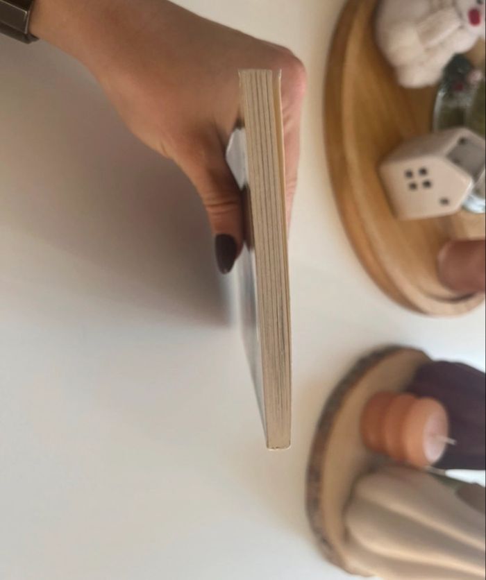 Vol sans effraction de Marie-Florence Ehret - photo numéro 6