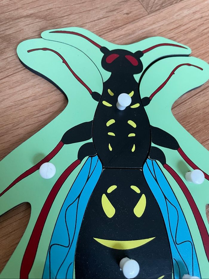 Puzzle Zoologie Montessori : La guêpe - photo numéro 6