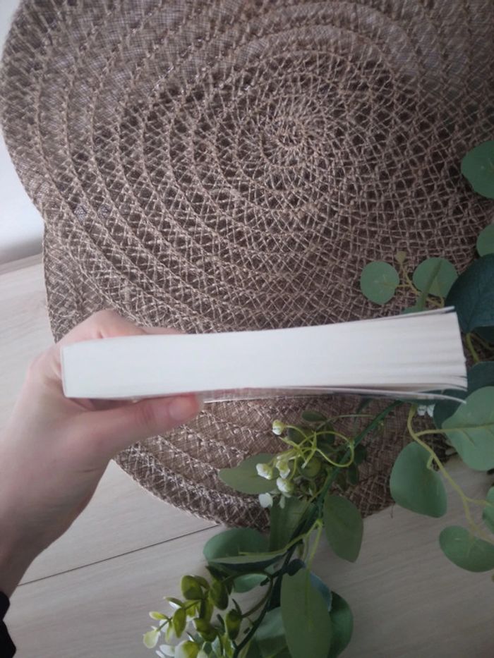 🌸Livre romance et comédie mon beau frère mon mec et moi 🌸 - photo numéro 2