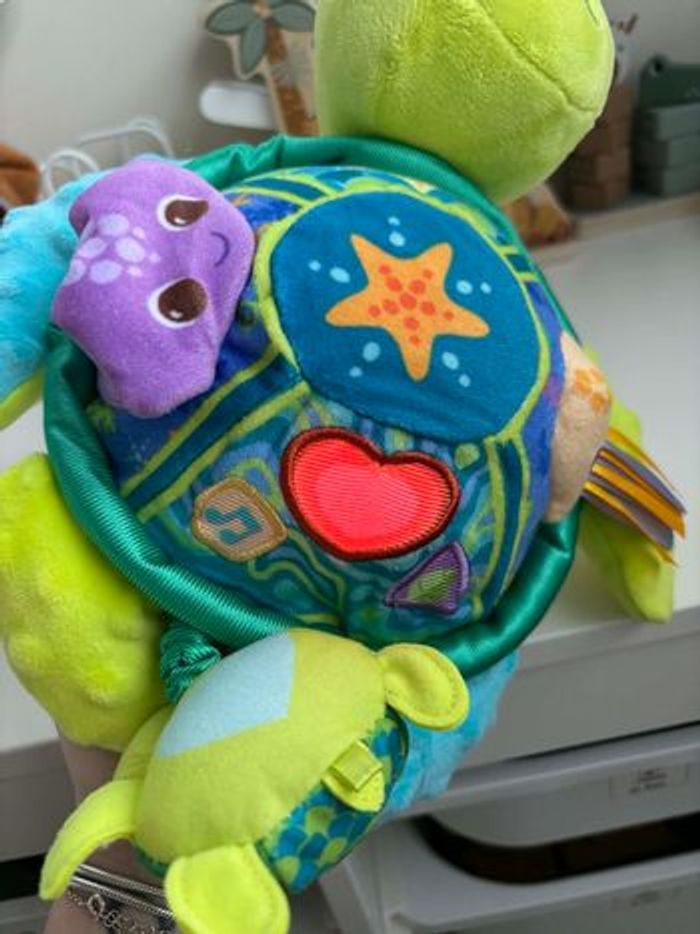 Juju la tortue - photo numéro 8