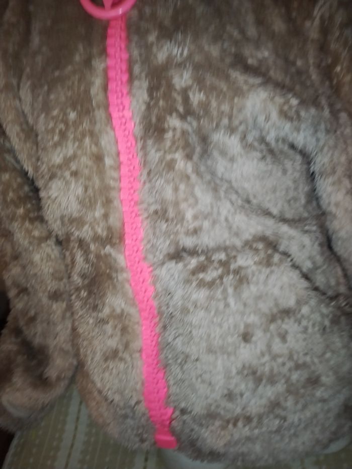 Veste - photo numéro 3