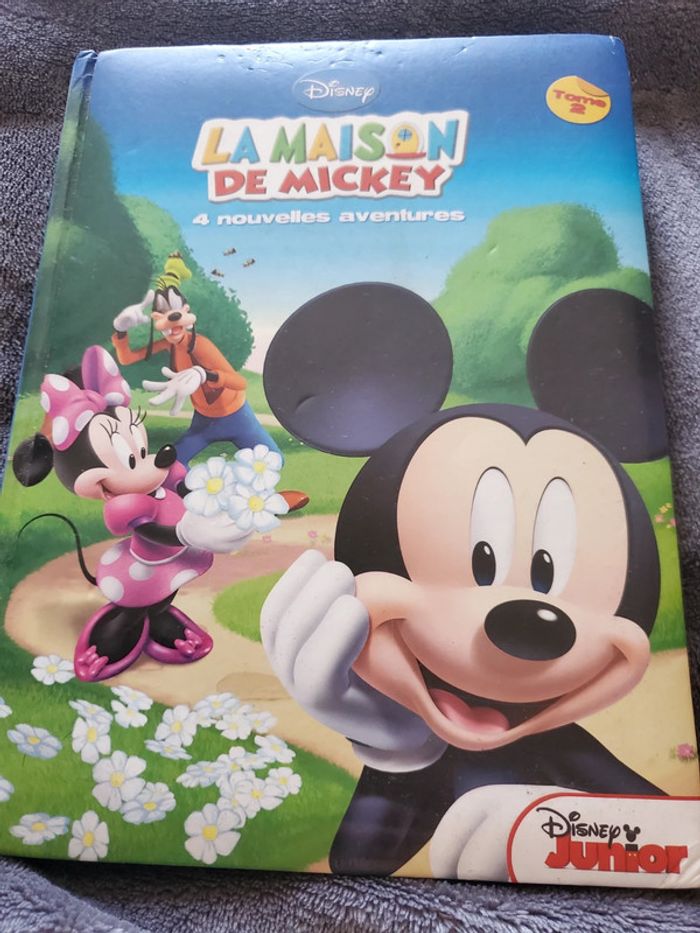 La maison de Mickey
