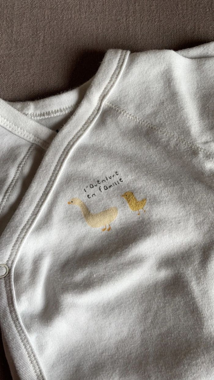 Bodys - photo numéro 2