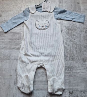 Ensemble chat 6 mois garçon