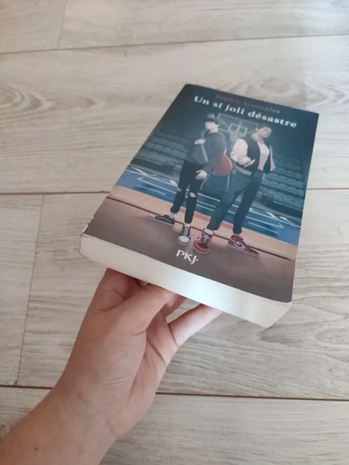 Un si joli désastre Sophie Gonzales PkJ - photo numéro 4
