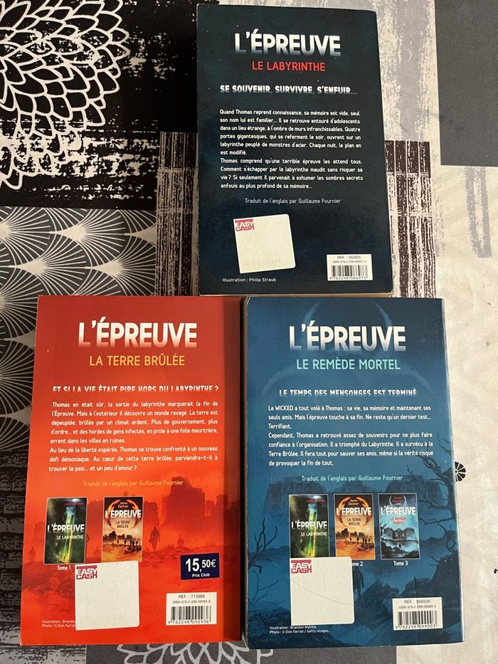 Le labyrinthe - photo numéro 2