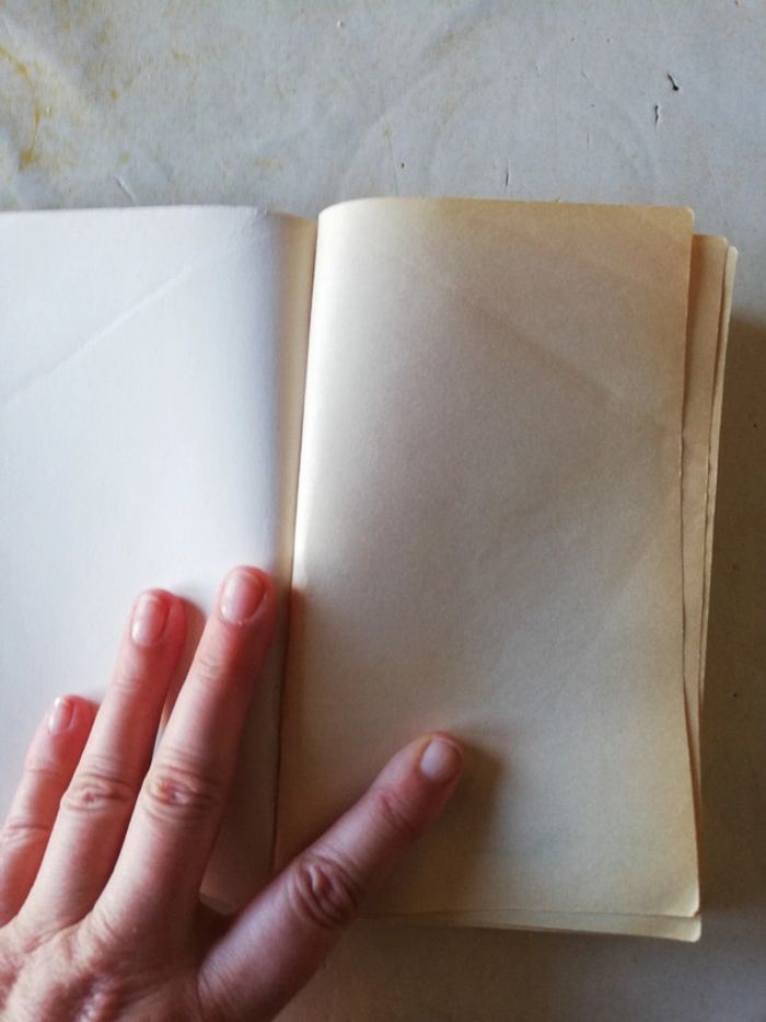 Livre 10/18 grands detectives. Le chat qui disait cheese. - photo numéro 4