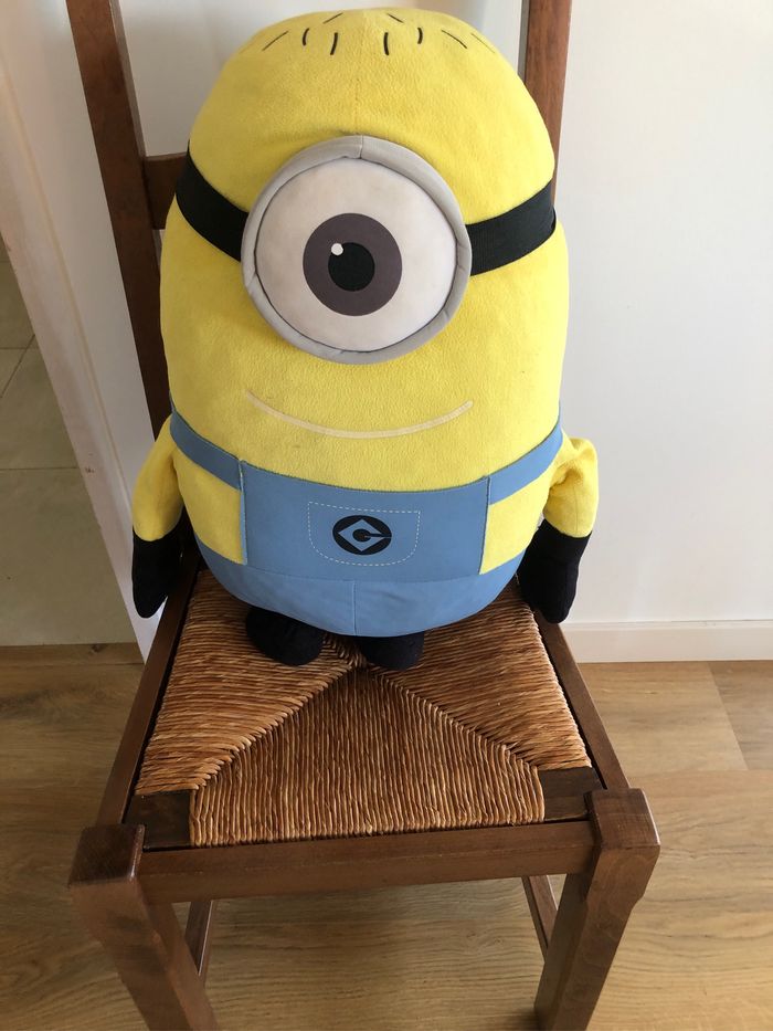 Minion - photo numéro 2
