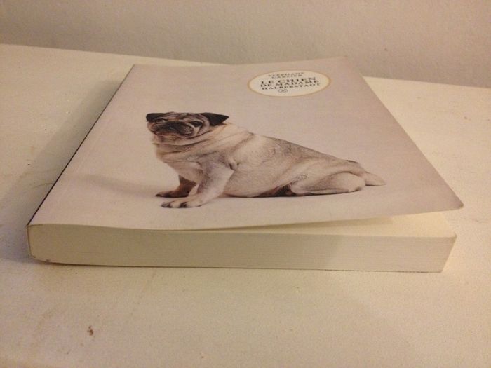 Carlin le chien de madame Halberstadt Stéphane Carlier - photo numéro 4