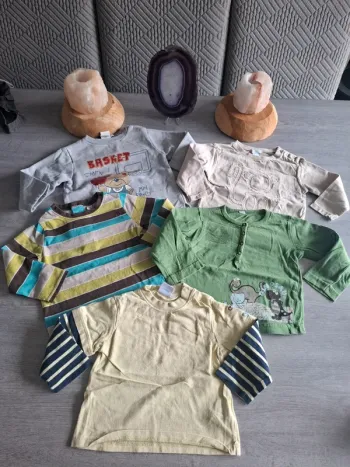 Lot de 5 T-shirt taille 18 mois
