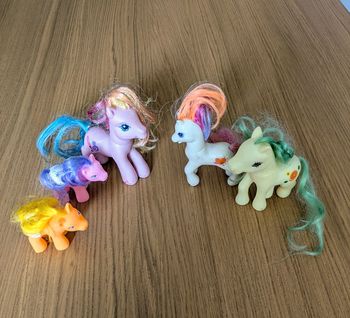 5 petits poneys