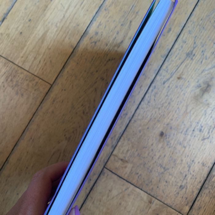 Livre une vie de dragon  Les dragons à l’école - photo numéro 3