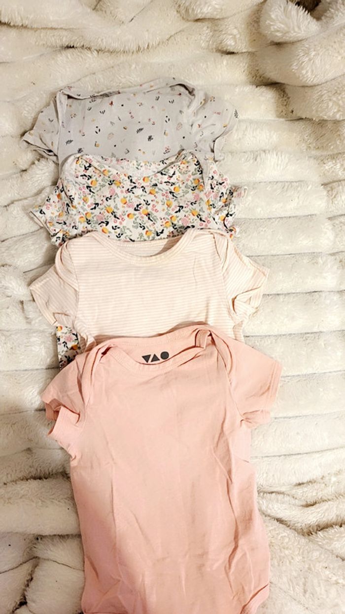 Lot 19 bodies 9 mois