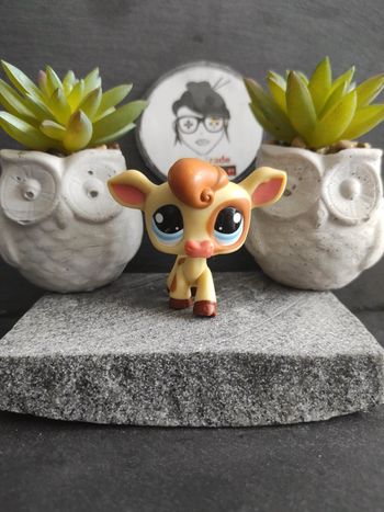 My Littlest Petshop Pet Shop LPS 970 vache cow Hasbro #geektradelpsvache