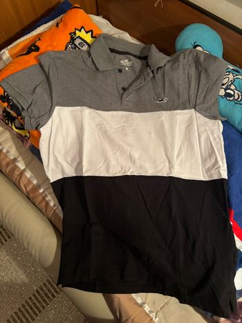Polo hollister