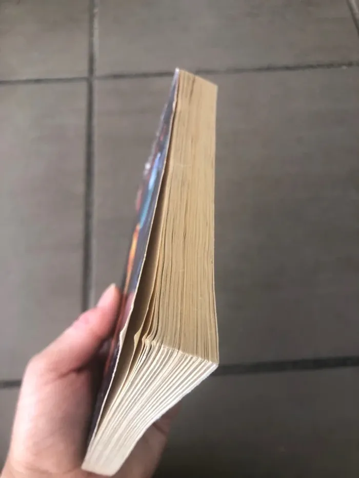 Livre la vampire 📕 - photo numéro 4