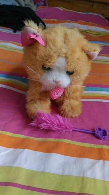 Chat interactif DAISY fur real friends