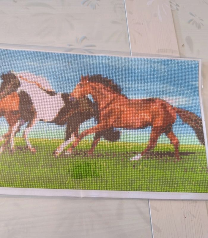 Grand Diamond painting 25.5 cm x 75,5 cm Chevaux déjà fait - photo numéro 4