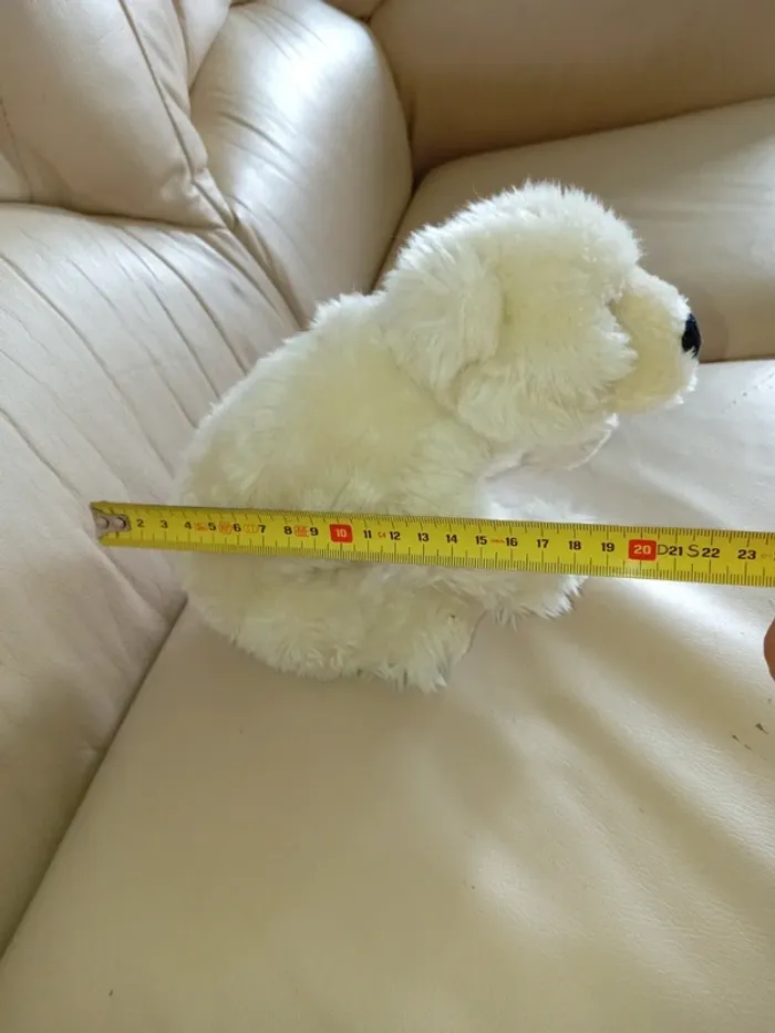 Petit ours blanc - photo numéro 5