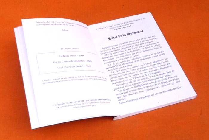 Michel Loirette Chambres d' hôtel Illustrations Annie Décarpes - photo numéro 4