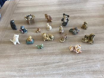 Collection chat /chien/ourson