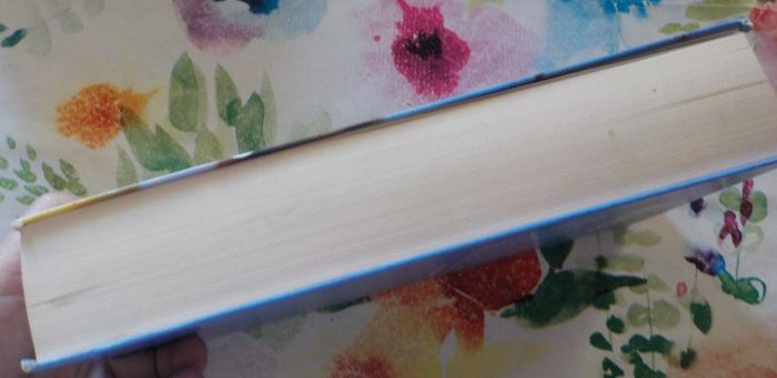 Dictionnaire des rêves par Hélène RENARD Ed. France Loisirs - photo numéro 6