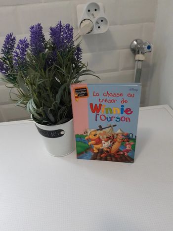 😺 livre winnie l'ourson😺