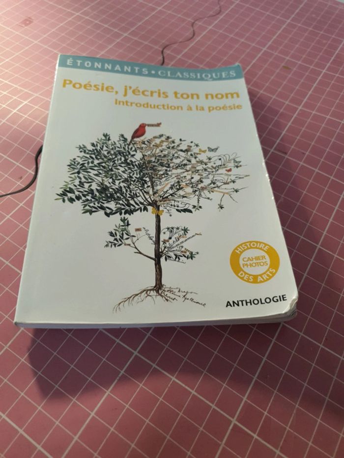 poésie, j'écris ton nom