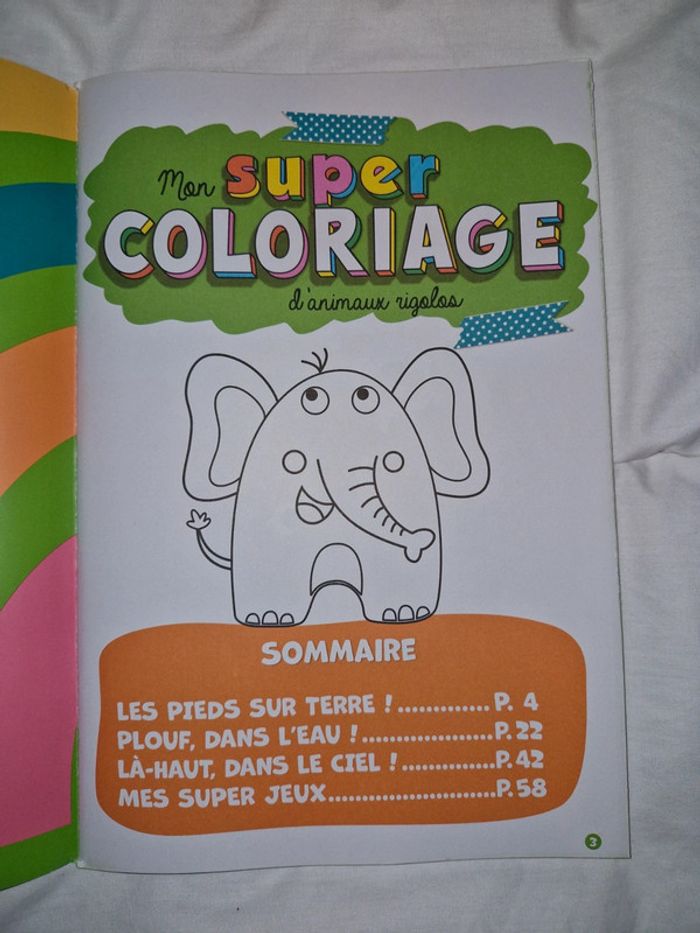Livre de coloriage pour enfant - photo numéro 3