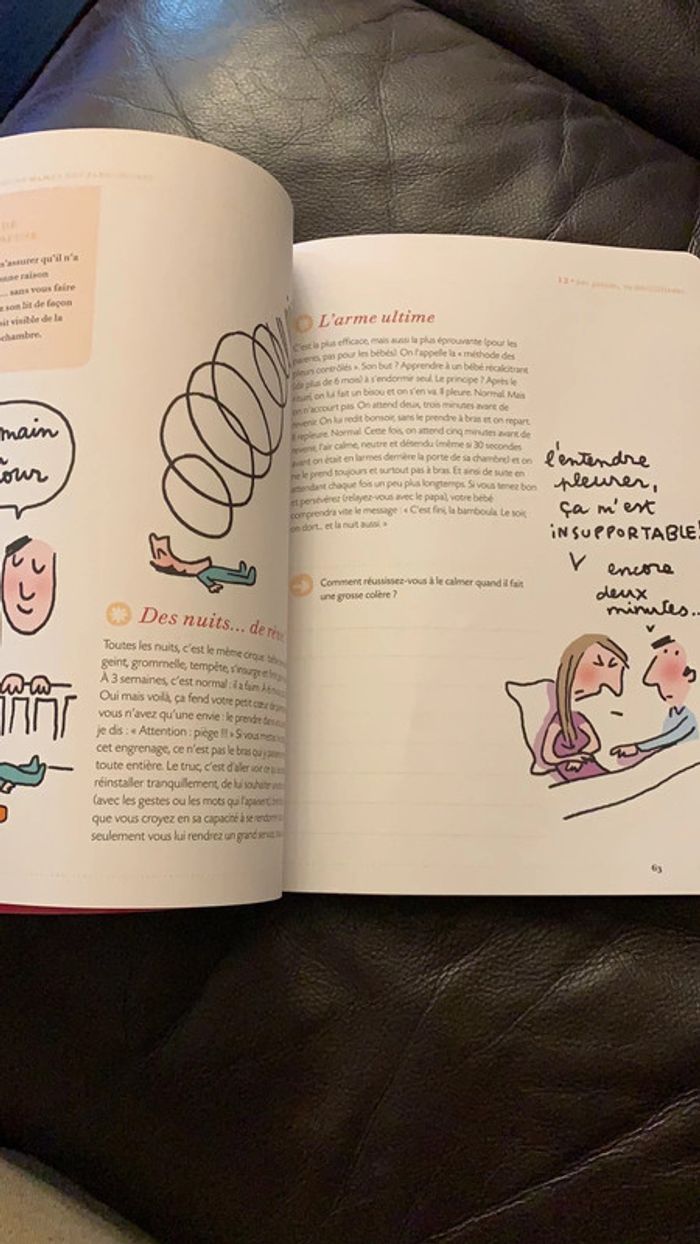 Livre le cahier jeune maman des paresseuses - photo numéro 3