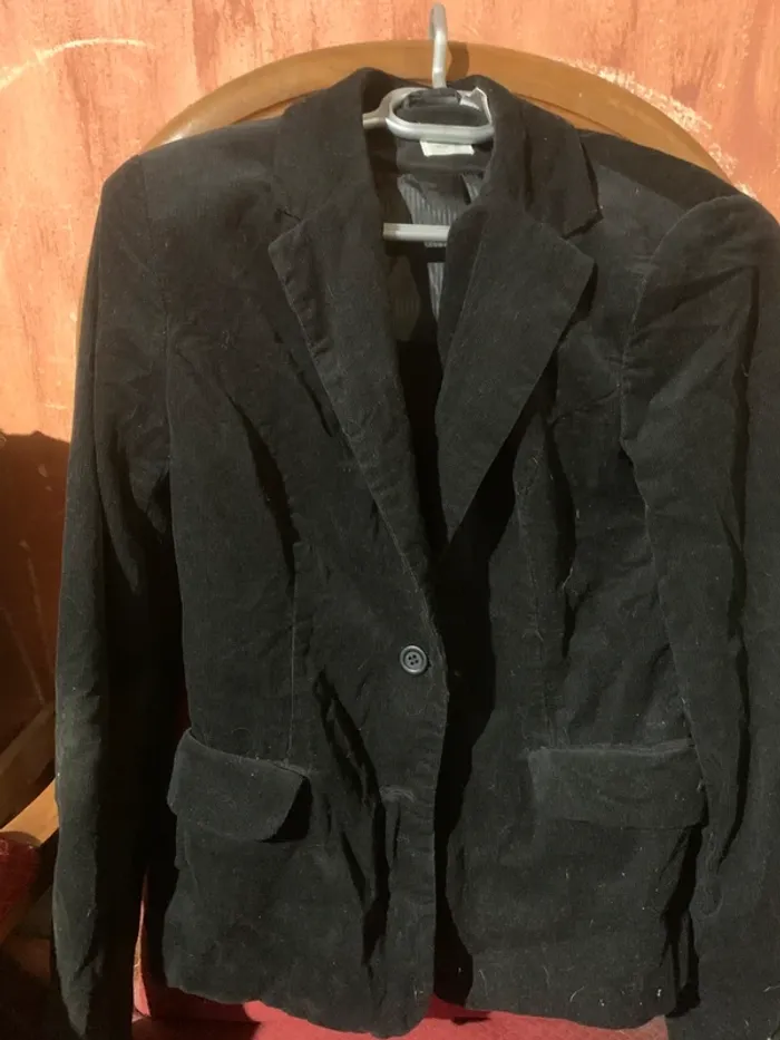 Veste