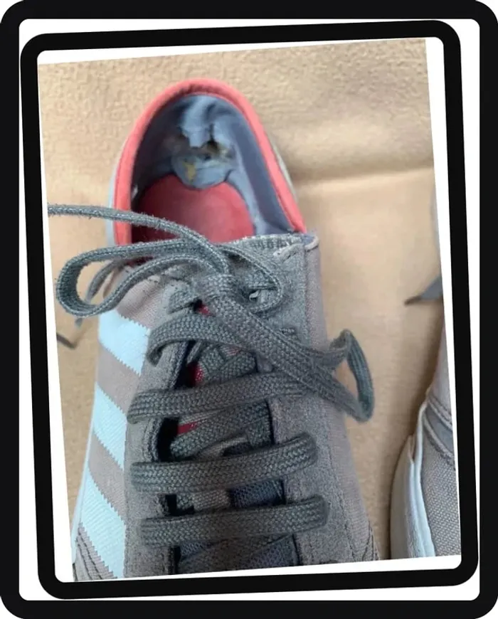 Adidas baskets homme/grand ado P/45 en toile - photo numéro 10