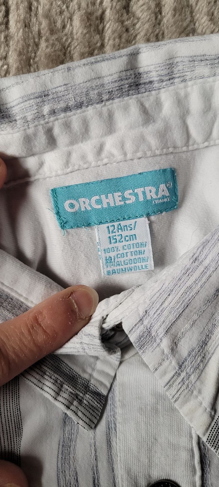 Chemise manches courtes - photo numéro 6