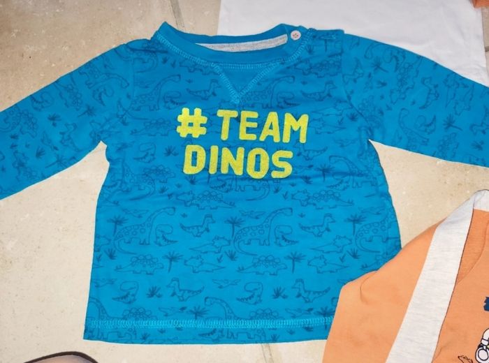 Lot 4 tee-shirt garçons dinosaure 18 mois - photo numéro 5