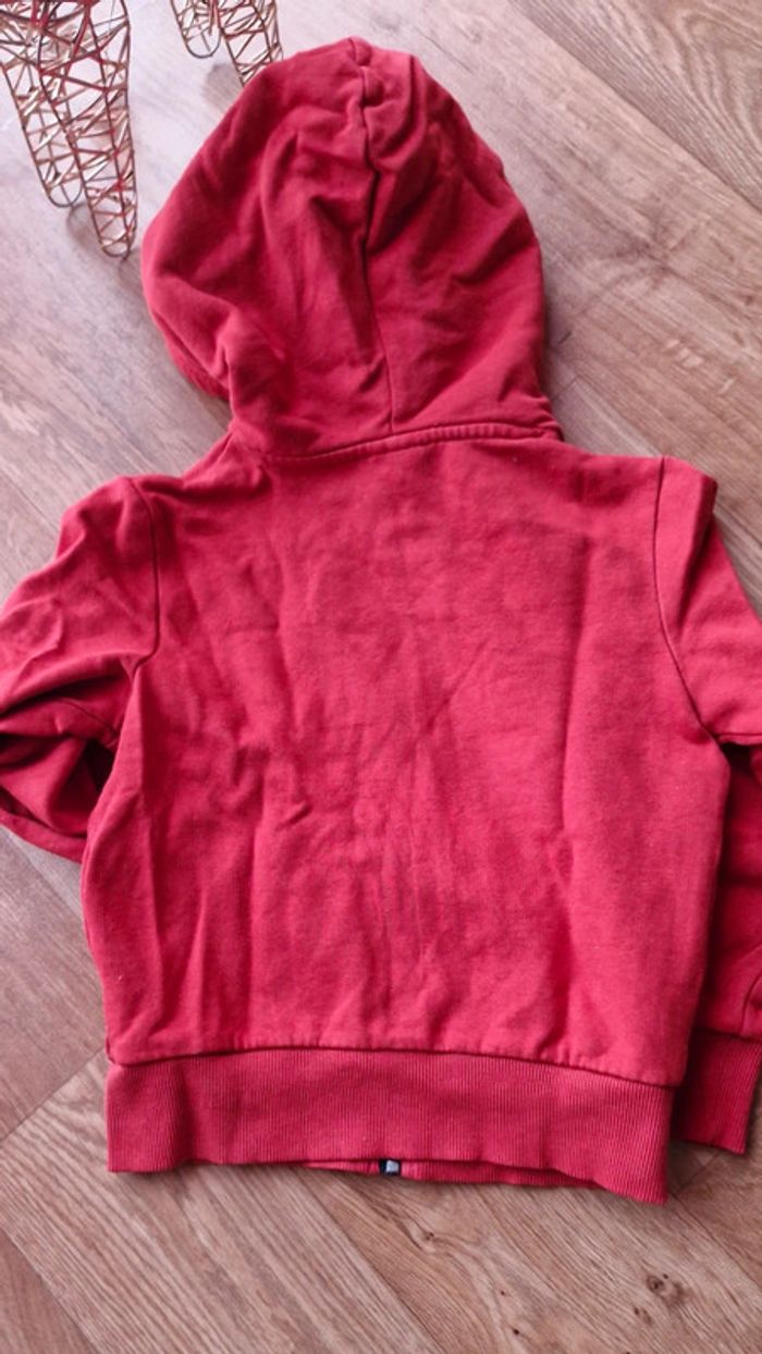 Gilet à capuche neutre en TBE - photo numéro 4